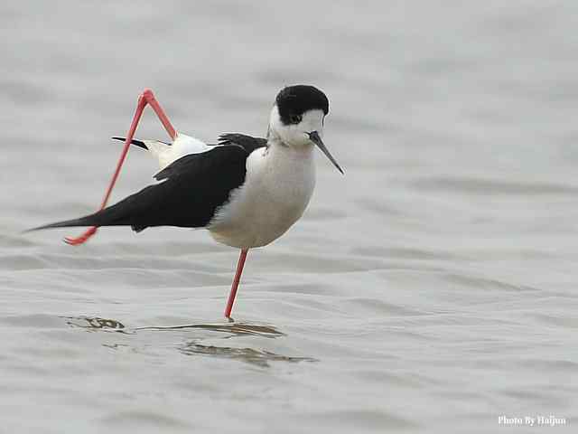我憧憬那湾碧水 wbr. wbr我流连那片土地