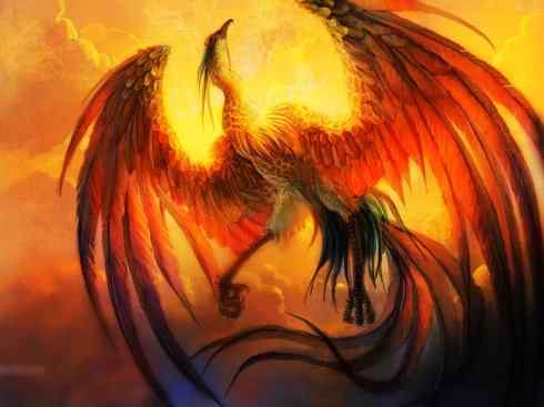 凤凰:传说的鸟 凤凰:传说的鸟