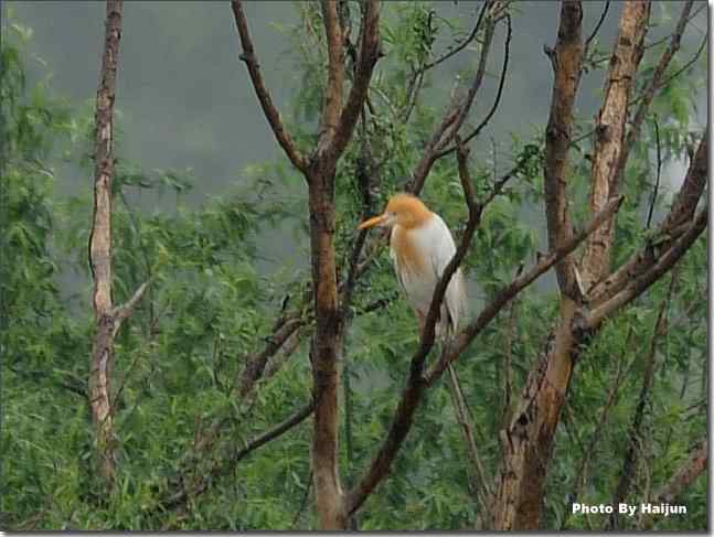  点击图片或使用键盘← →翻页