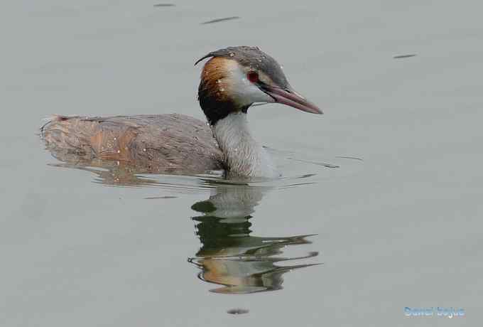 颐和园的凤头 颐和园的凤头