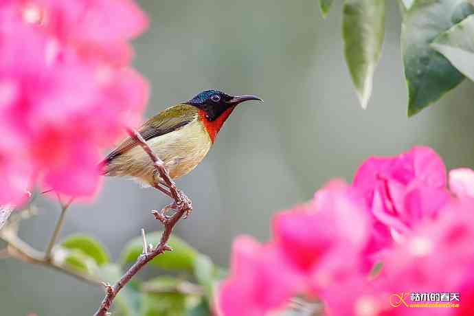 我的鈥溙翕濃斺斚妹排拟湶嫖蔡裟疋