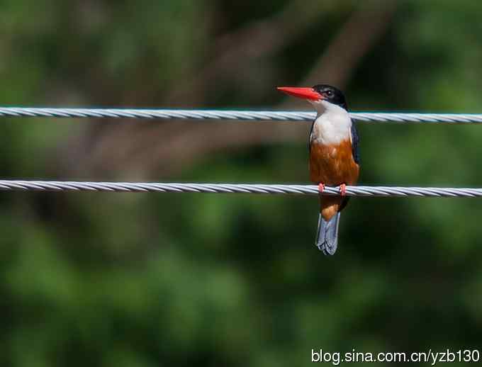 初次觐见幽州蓝妃（组图，12张图片）