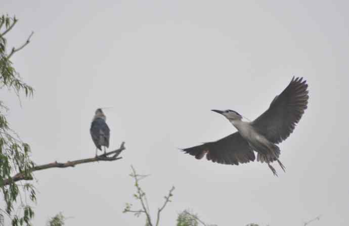 20100505当日总结 20100505当日总结