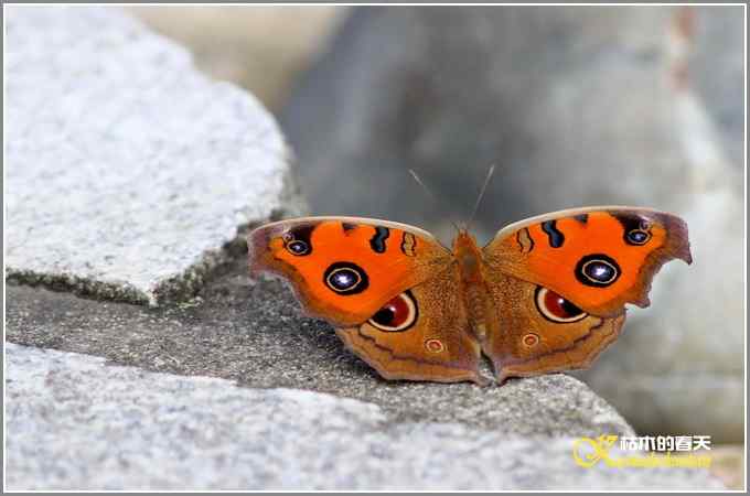 阳光明媚好心情【照片】 阳光明媚好心情【照片】