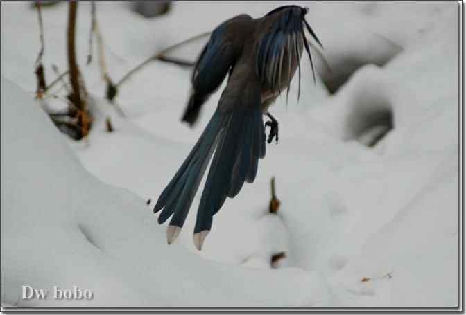 点击图片或使用键盘← →翻页