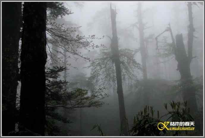 烟雨朦朦的瓦屋高原(瓦屋山系列二)【照片】 烟雨朦朦的瓦屋高原(瓦屋山系列二)【照片】