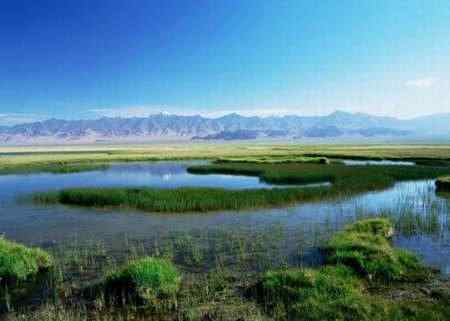 鸟类天堂——新疆依协克帕提湖