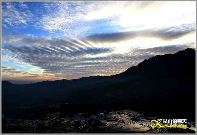 如梦的元阳梯田【照片】