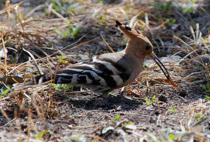 让偶一次拍个够