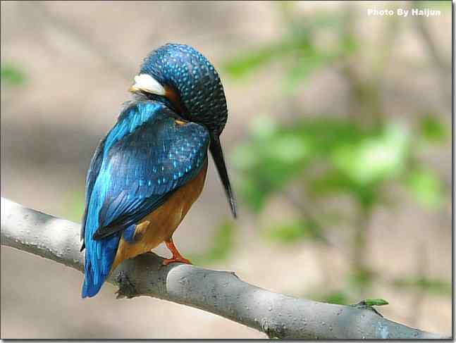  点击图片或使用键盘← →翻页