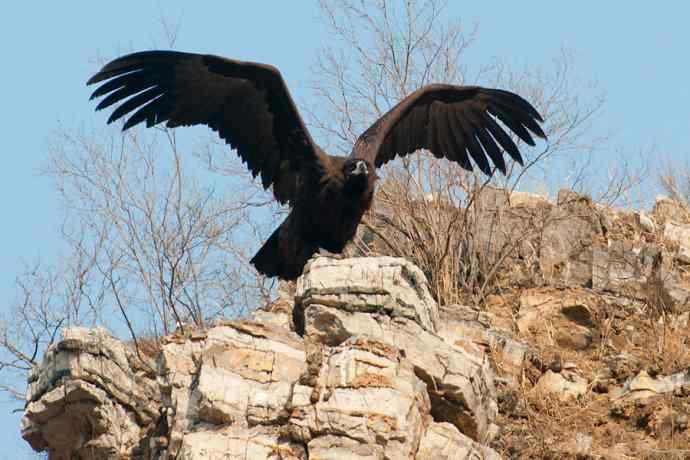 小鬼难缠 wbr鹰雄气短☆