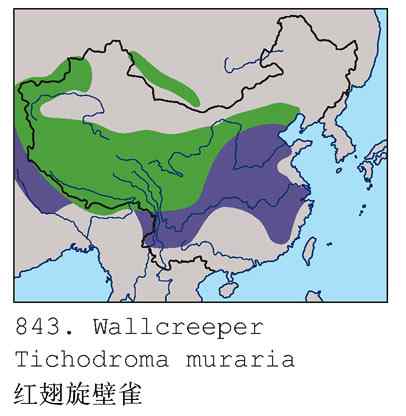 终于成功偷拍京城明星（组图，12张图片）