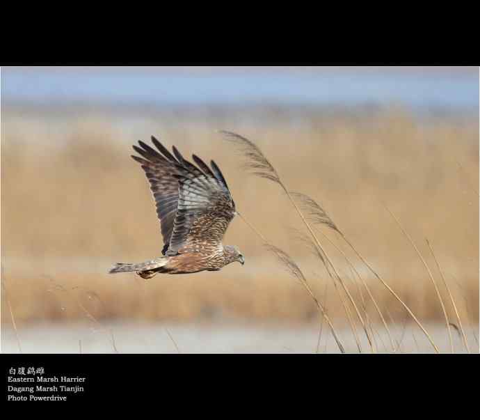 【人间四月天】