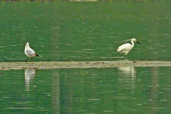 和谐 wbr wbr记录版 wbr wbr（1）