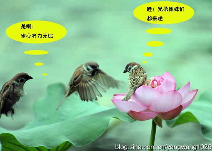 亲兄弟也要有分工（虚构）