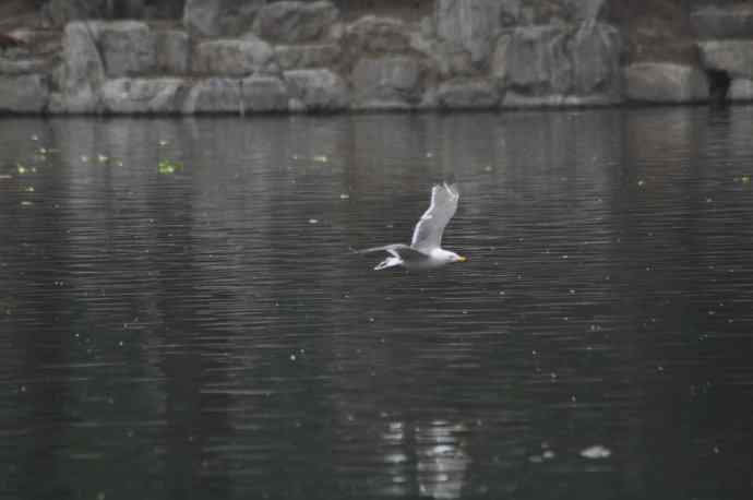 20100505当日总结 20100505当日总结