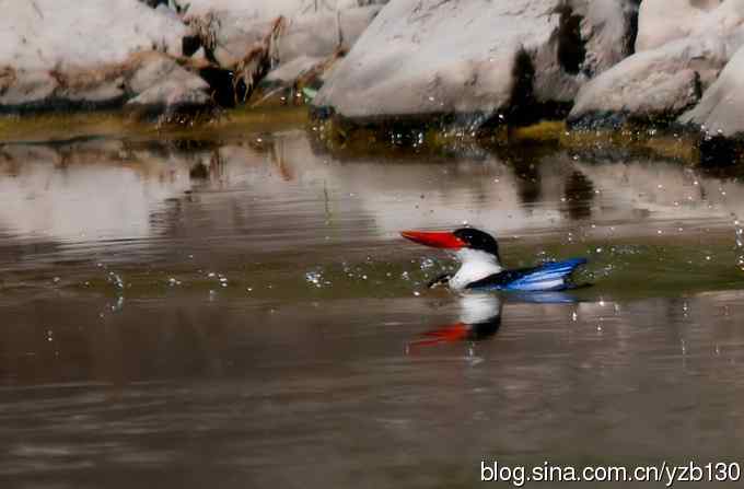 初次觐见幽州蓝妃（组图，12张图片）