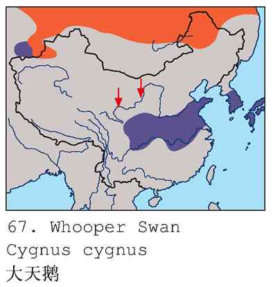 今日野鸭湖鈥斺敶筇於欤ㄗ橥迹20张图片）