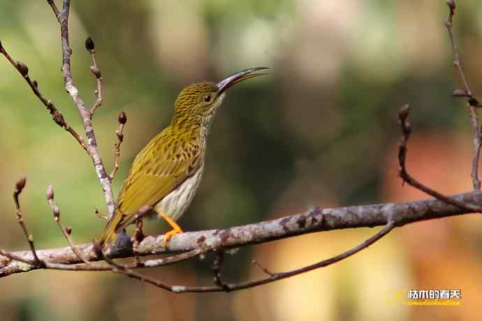 记录鈥溛票巢吨肽疋