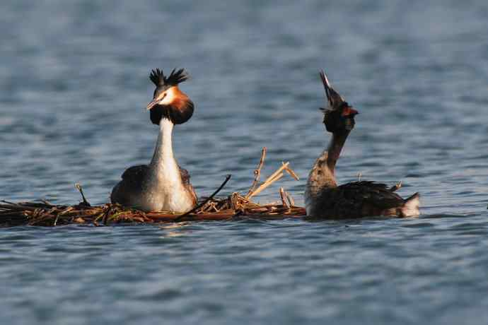清明假日惬意的午后时光
