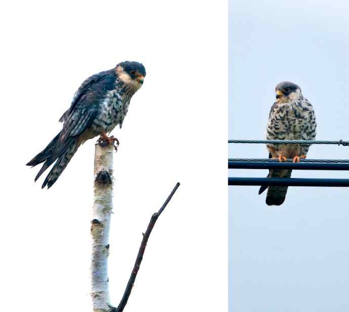 官厅水库&nbsp;wbr路&nbsp;wbr金秋十一猛