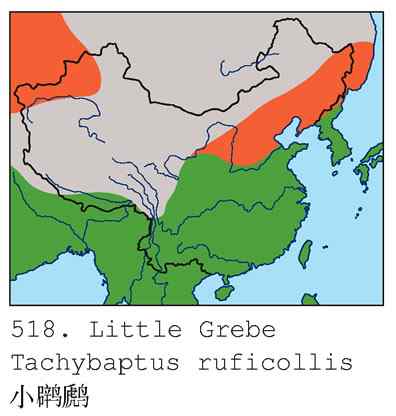 蓝色妖姬（组图，5张图片）