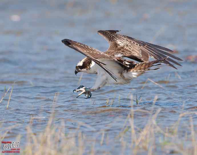 官厅水库&nbsp;wbr路&nbsp;wbr金秋十一猛