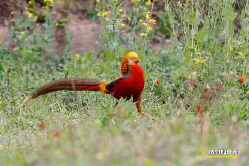 发一组鈥満旄菇跫︹ 发一组鈥満旄菇跫︹