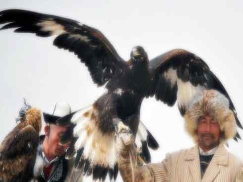 家禽驯化之源之六