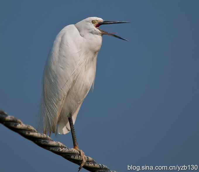 白衣天使高空独立作业（组图，6张图片）