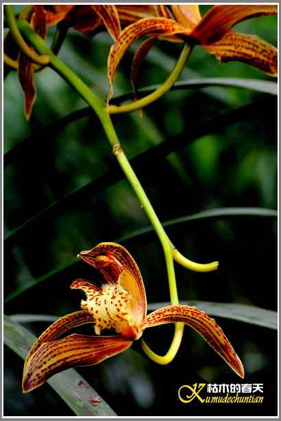 今天不拍鸟【照片】