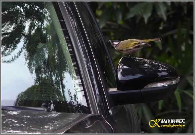 距离产生美【照片】 距离产生美【照片】