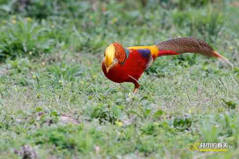 发一组鈥満旄菇跫︹ 发一组鈥満旄菇跫︹