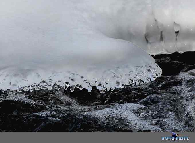 冰上鸭趣 冰上鸭趣