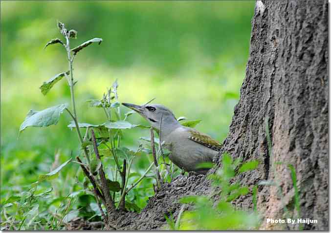  点击图片或使用键盘← →翻页