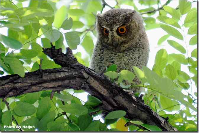  点击图片或使用键盘← →翻页