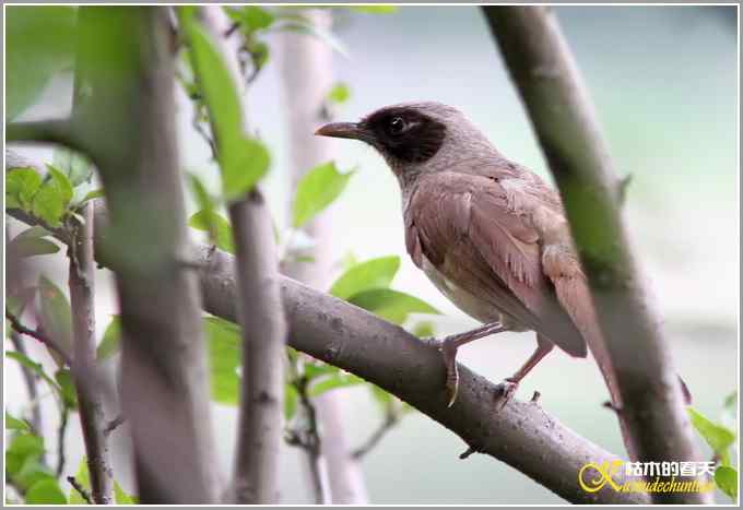 记录鈥満诹吃腽题潯菊掌