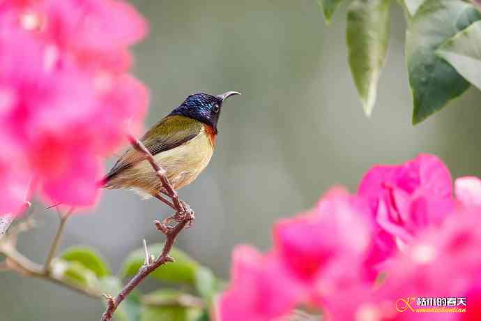 我的鈥溙翕濃斺斚妹排拟湶嫖蔡裟疋