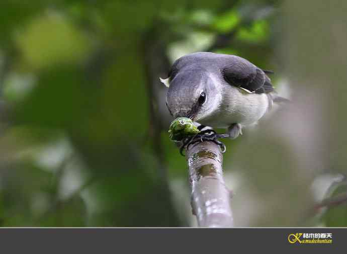 拍鈥溁疑浇纺疋澕侨ぁ菊掌