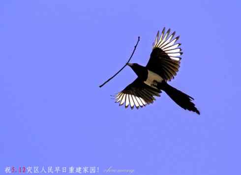 八方支援，重建家园