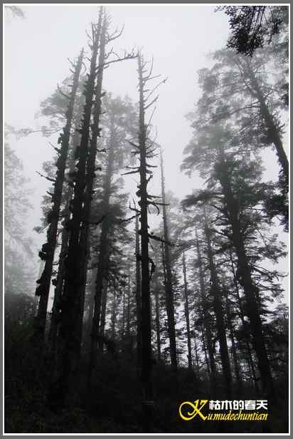 烟雨朦朦的瓦屋高原(瓦屋山系列二)【照片】 烟雨朦朦的瓦屋高原(瓦屋山系列二)【照片】
