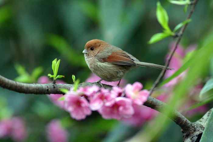 杭州老郑摄影续 杭州老郑摄影续