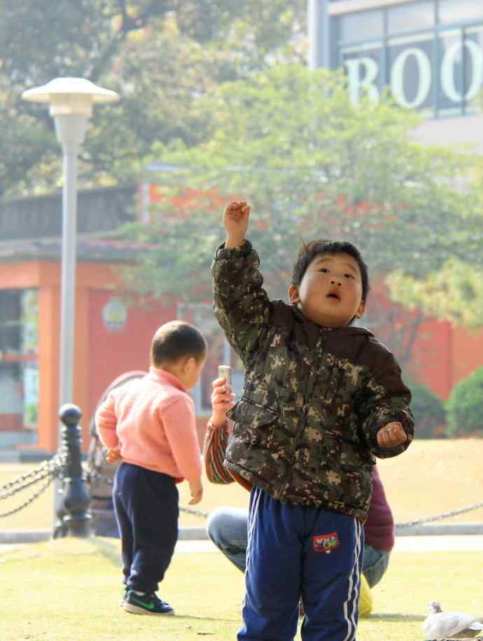 孩子与白鸽