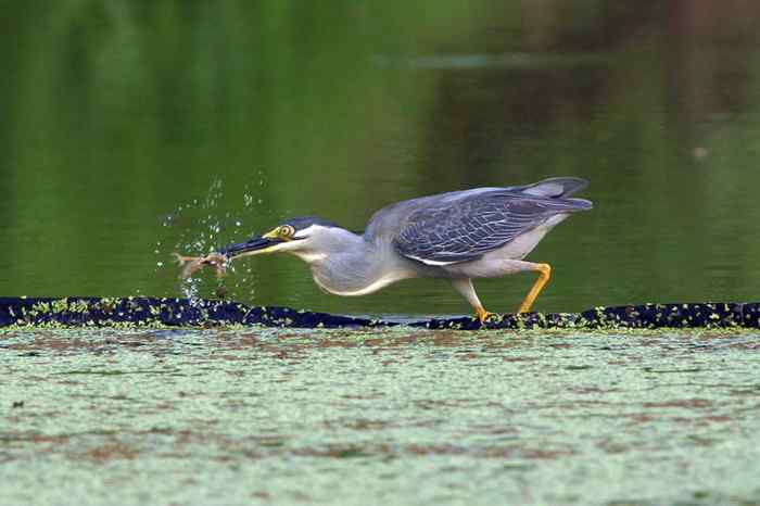 杭州老郑摄影续 杭州老郑摄影续