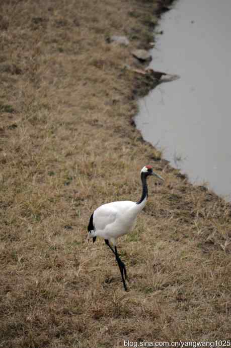 晚秋寻美 wbr wbr3