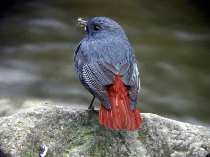 杭州老郑摄影续 杭州老郑摄影续