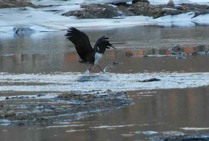 白河峡谷三月雪 白河峡谷三月雪