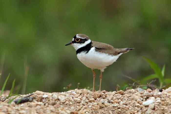 杭州老郑摄影续 杭州老郑摄影续