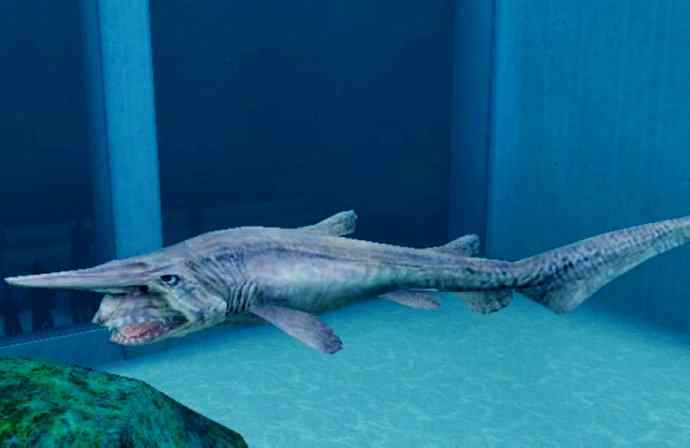 鱼类活化石：魔鬼鲨