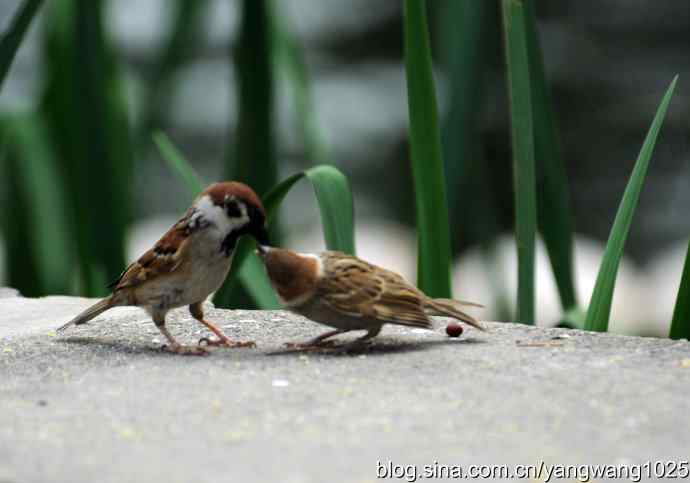 母爱（纪实篇）